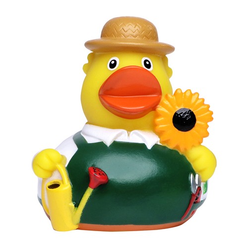 Canard_jardinier_jaune_Devant_M131119_CYBER26.jpg