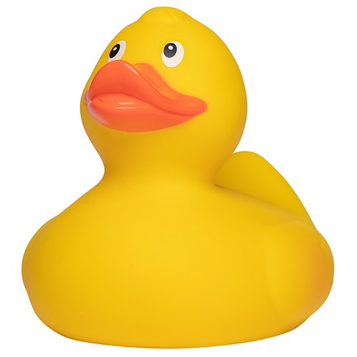 Canard_jaune_Devant_M131012L_CYBER26.jpg