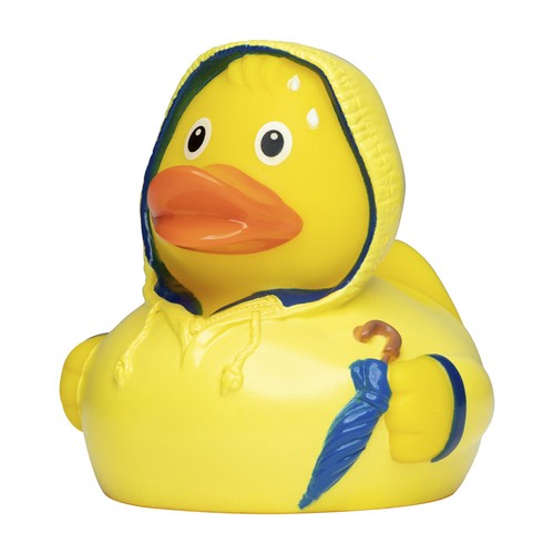 Canard_pluie___M131289_CYBER25.jpg