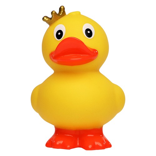 Canard_roi_jaune_Devant_M131166_CYBER26.jpg
