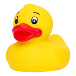 Canard_s_jaune_Devant_M131095_CYBER26.jpg