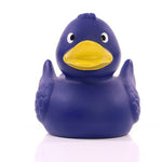 Canard_uni_bleu_Devant_M131004_CYBER26.jpg