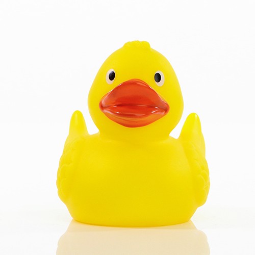 Canard_uni_jaune_Devant_M131004_CYBER26.jpg