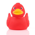 Canard_uni_rouge_Devant_M131004_CYBER26.jpg
