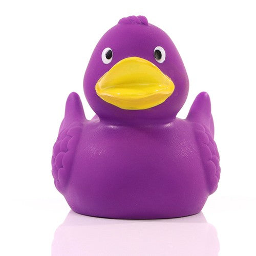 Canard_uni_violet_Devant_M131004_CYBER25.jpg