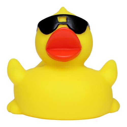 Canard_voyage_jaune-noir_Devant_M131204_CYBER25.jpg