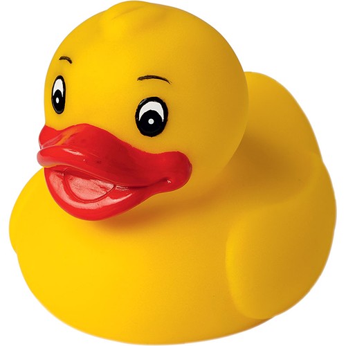 Canards-jaune-M131095_CYBER26.jpg