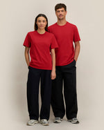 Passionate Red - C172