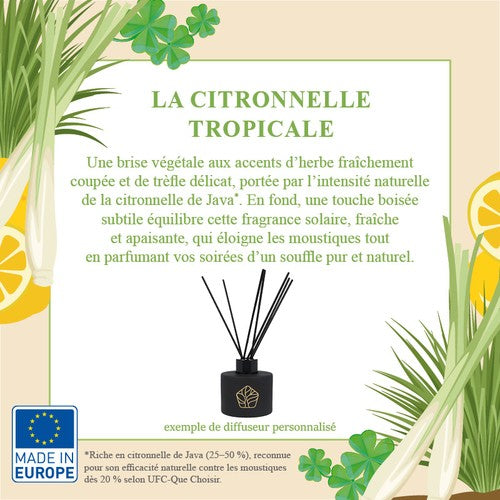 Diffuseur_Fragrance_citron_Devant_DIFF02-120_CYBER25.jpg