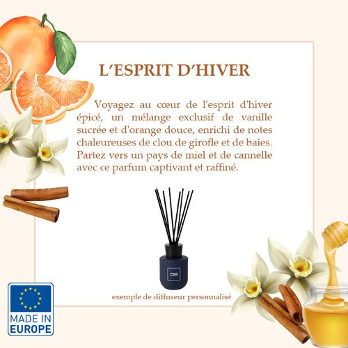 Diffuseur_N_devant_Fragrance__DIFF01-100_CYBER25.jpg