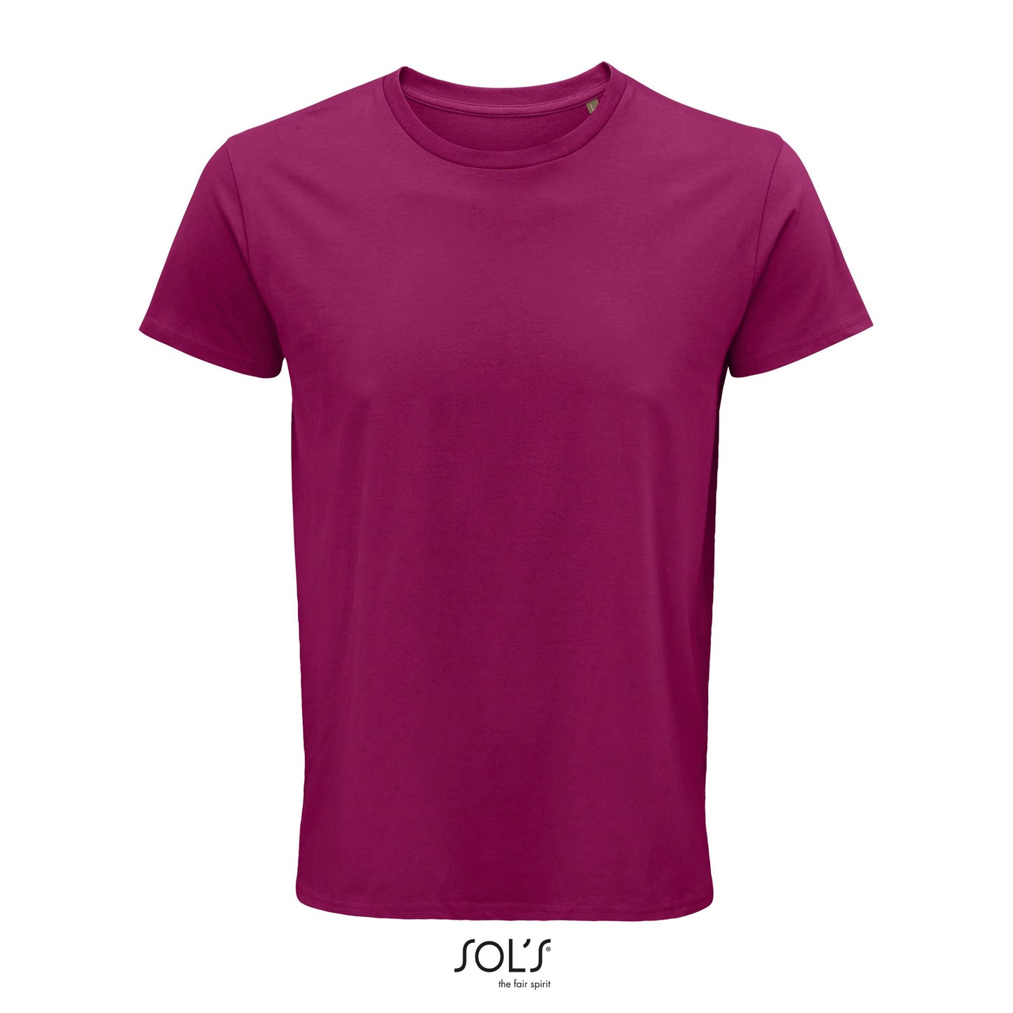 Fuchsia
