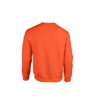 GN910_20_back_IBX_2026.jpg