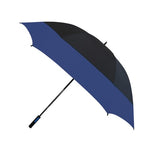 Golf-System-noir-et-bleu-ouvert-id334-mars25.jpg