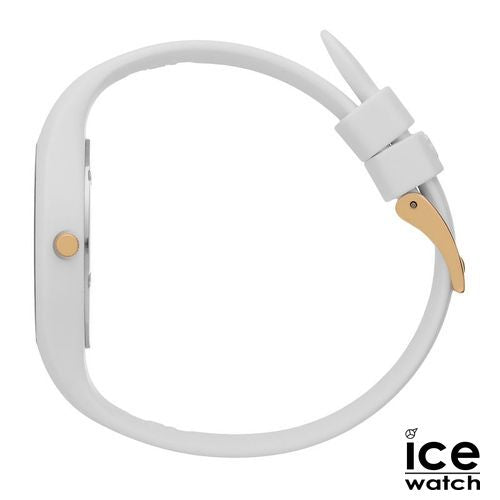 ICH25250_C-1-PLAS-sept26.jpg