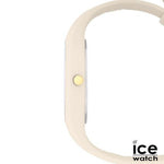 ICO22358_C-1-id564-jan26.jpg