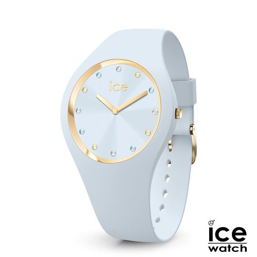 ICO22360-1-id564-jan26.jpg