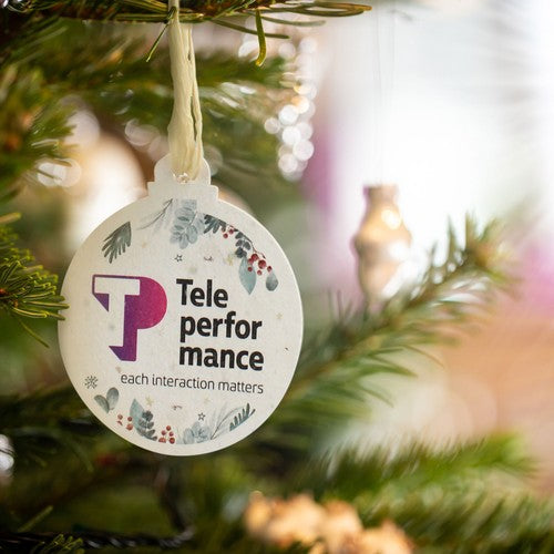 IDG14ZA-Boule-noel-P-graines_carre-id374-fev26.jpg