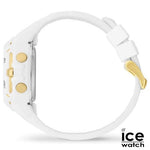 IDX23266_C-1-id564-jan26.jpg