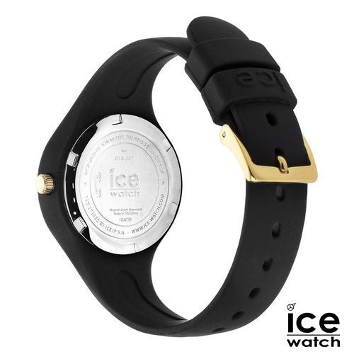 IGT501NS_B-1-id564-jan26.jpg