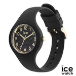 IGT501NS_Z1-1-id564-jan26.jpg