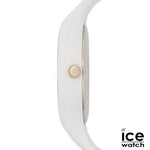 IMA22705_C-1-id564-jan26.jpg