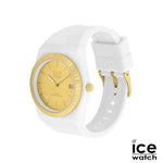 IPW24765_Z-1-PLAS-sept26.jpg