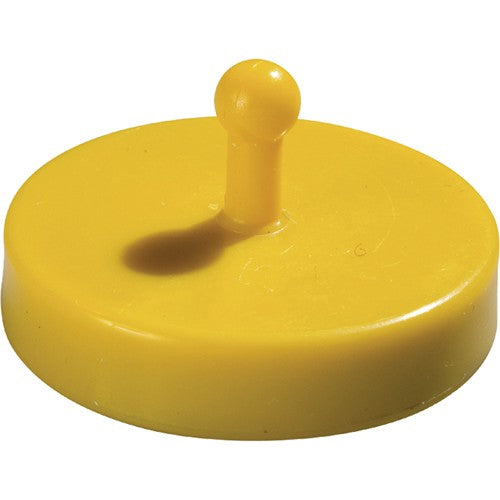 Lesteur_de_canard__jaune_Devant_M131208_CYBER26.jpg