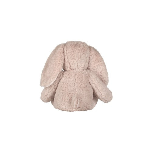 MM060_ZY_back_IM_2025.jpg