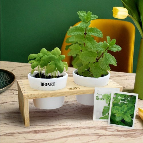 MP17ARO-Plateau-duo-aromatique-packshot-carre_BD-id374-fev26.jpg