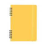 NDB_blank_yellow_59eab8a2_GLS_2026.jpg