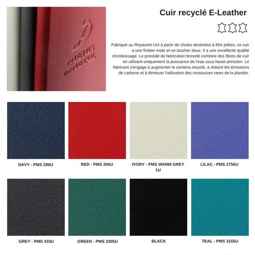 Nuancier-E-Leather-2024-id368-sep24.jpg