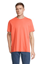 Orange Pop