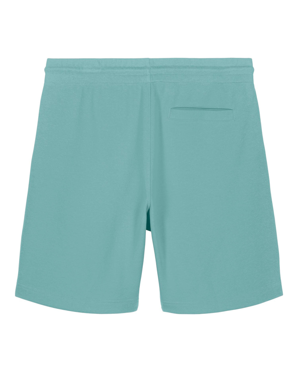 Teal Monstera - C060