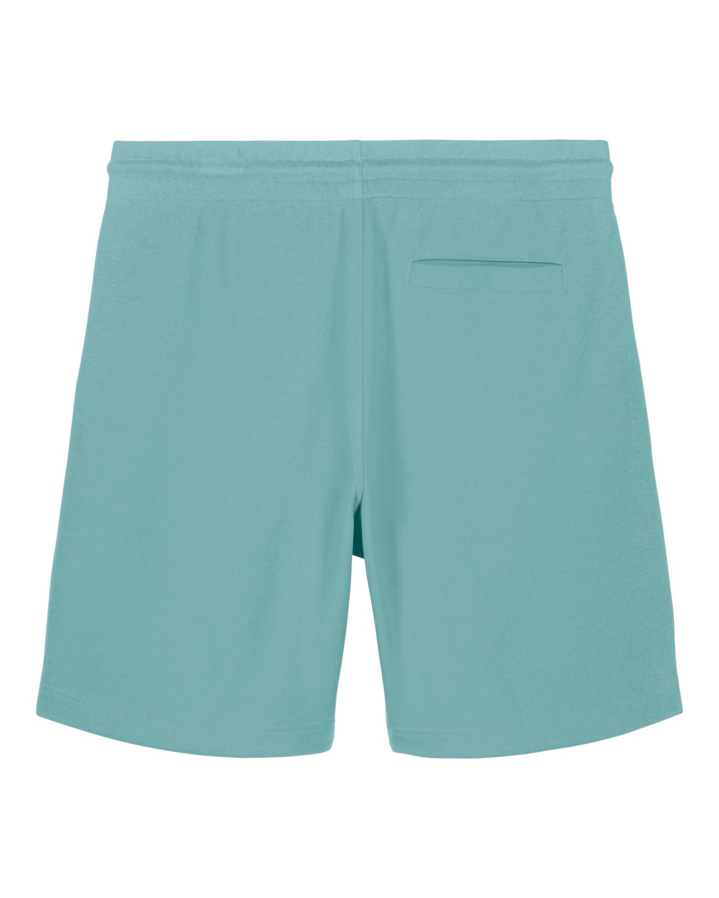 Teal Monstera - C060