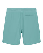 Teal Monstera - C060