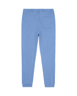 G. Dyed Swimmer Blue - C103