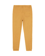 G. Dyed Gold Ochre - C141