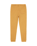 G. Dyed Gold Ochre - C141