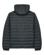 Anthracite - C253