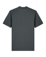 Anthracite - C253