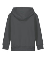 Anthracite - C253