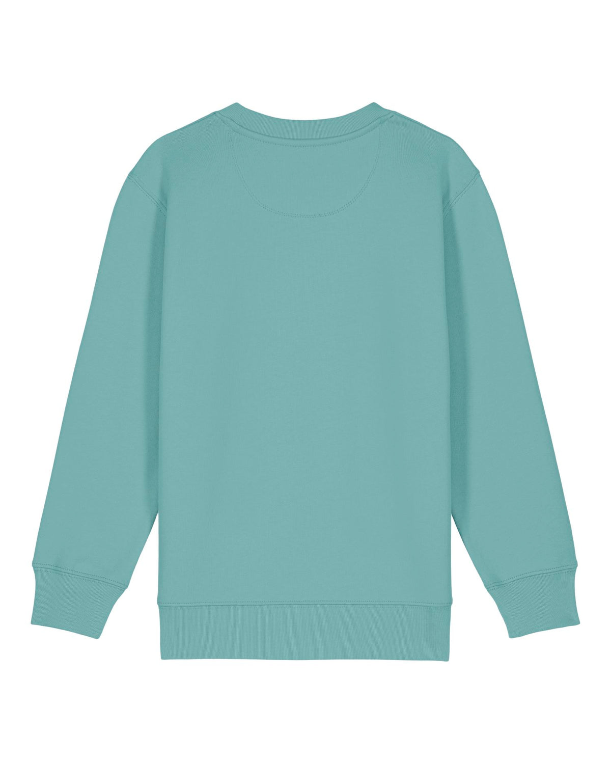 Teal Monstera - C060
