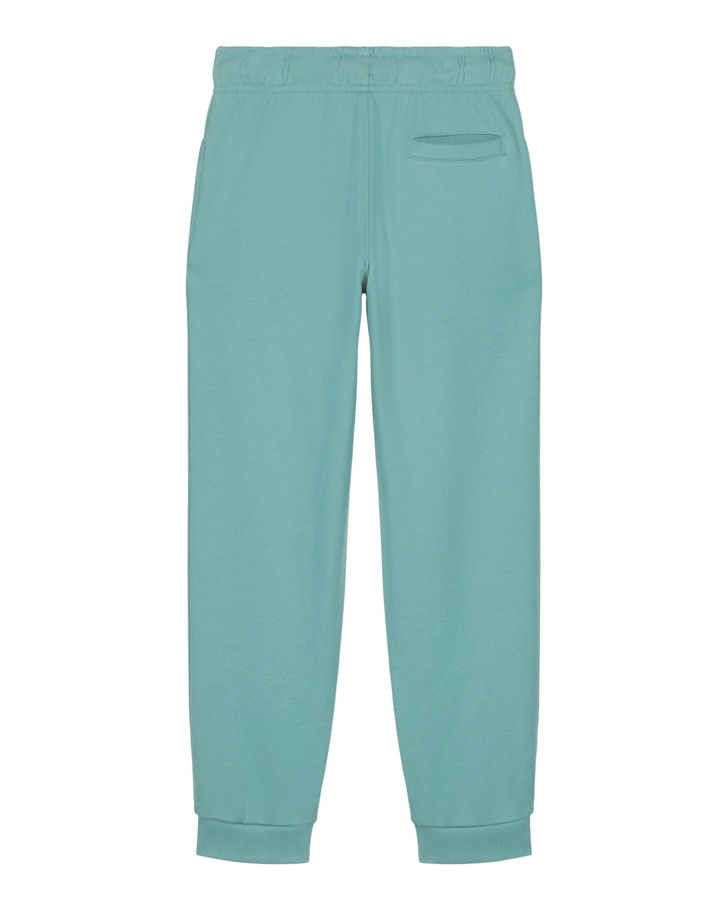 Teal Monstera - C060