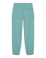 Teal Monstera - C060