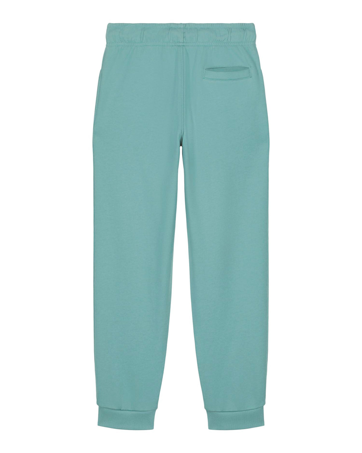 Teal Monstera - C060