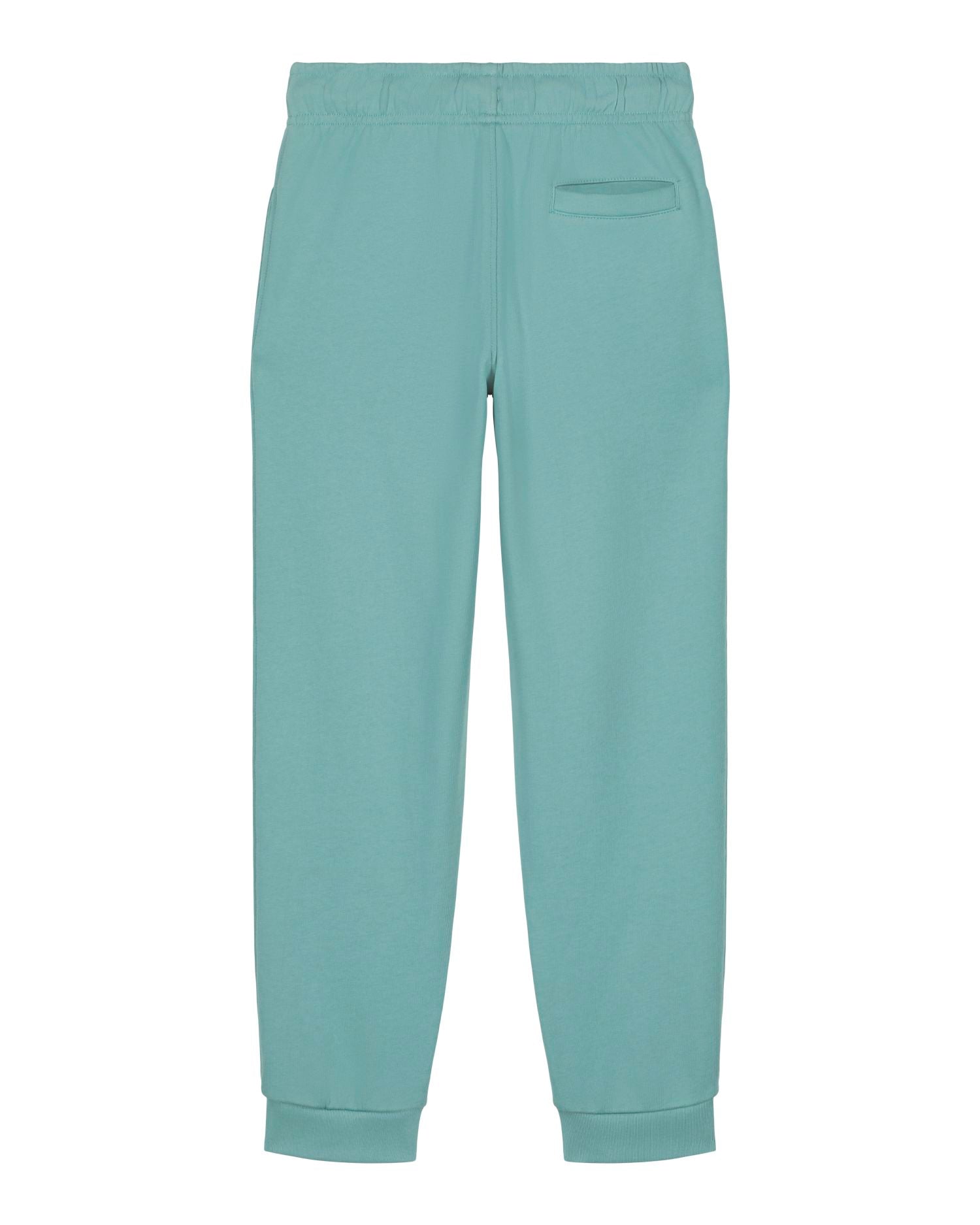 Teal Monstera - C060