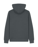 Anthracite - C253