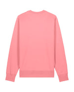 Pink Joy - C360