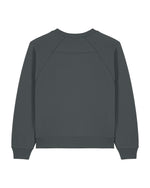 Anthracite - C253