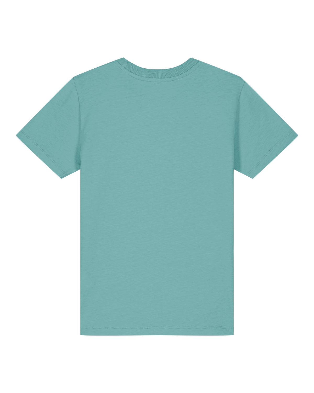 Teal Monstera - C060